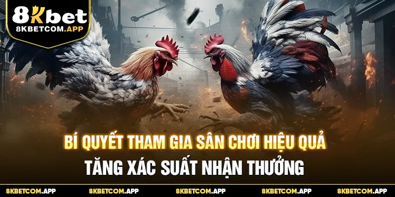 Bí quyết tham gia sân chơi hiệu quả, tăng xác suất nhận thưởng