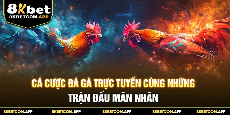 Cá cược đá gà trực tuyến cùng những trận đấu mãn nhãn