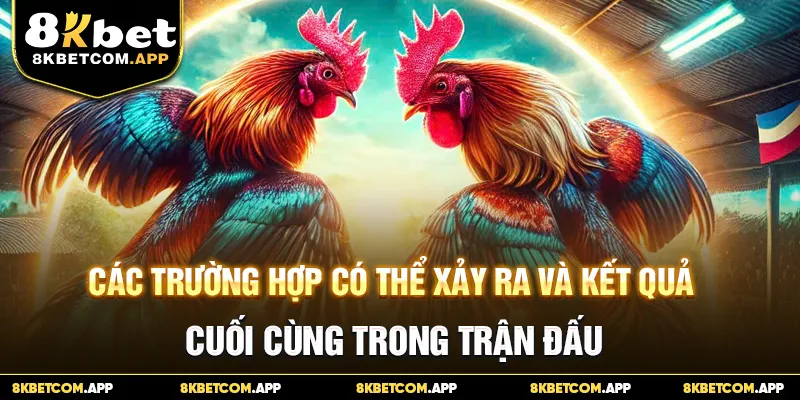 Các trường hợp có thể xảy ra và kết quả cuối cùng trong trận đấu