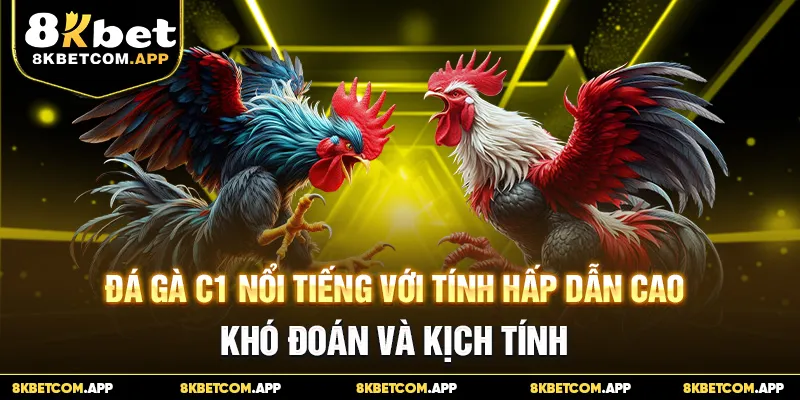 Đá gà C1 nổi tiếng với tính hấp dẫn cao, khó đoán và kịch tính