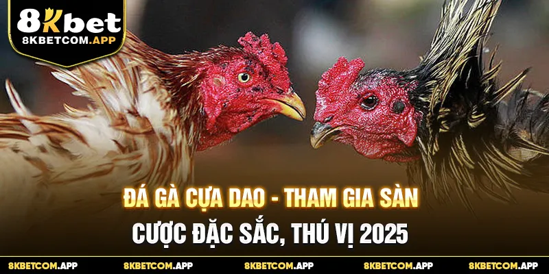Đá Gà Cựa Dao - Tham Gia Sàn Cược Đặc Sắc, Thú Vị 2025