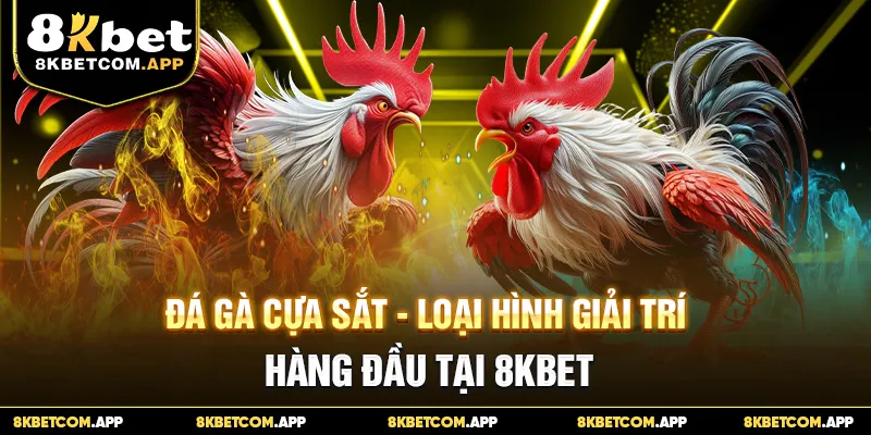 Đá Gà Cựa Sắt - Loại Hình Giải Trí Hàng Đầu Tại 8KBET