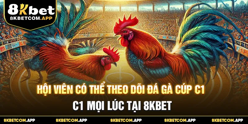 Hội viên có thể theo dõi đá gà C1 mọi lúc tại 8KBET
