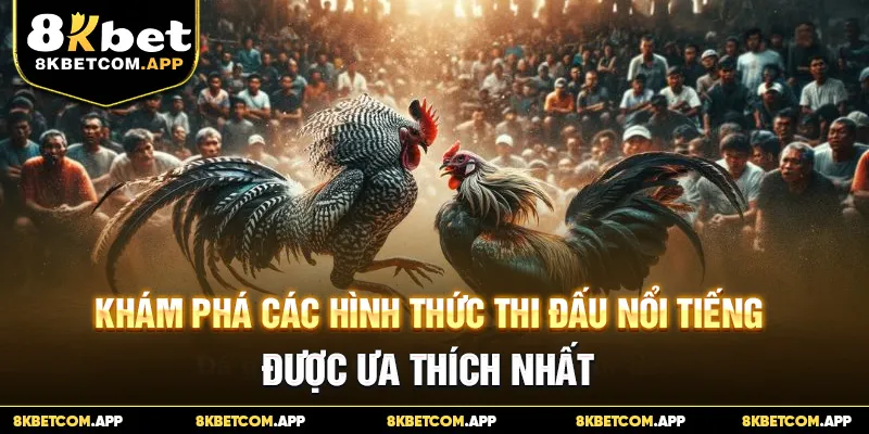 Khám phá các hình thức thi đấu nổi tiếng được ưa thích nhất
