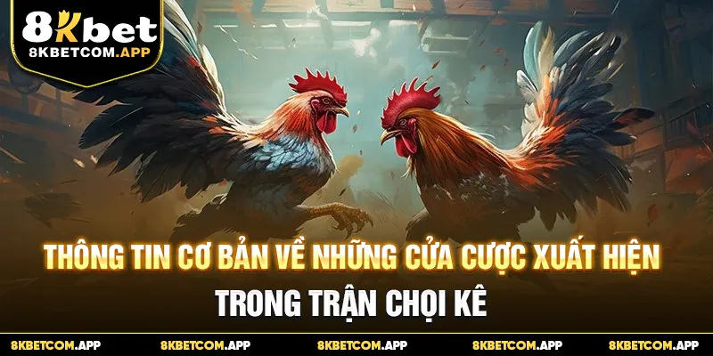 Thông tin cơ bản về những cửa cược xuất hiện trong trận chọi kê