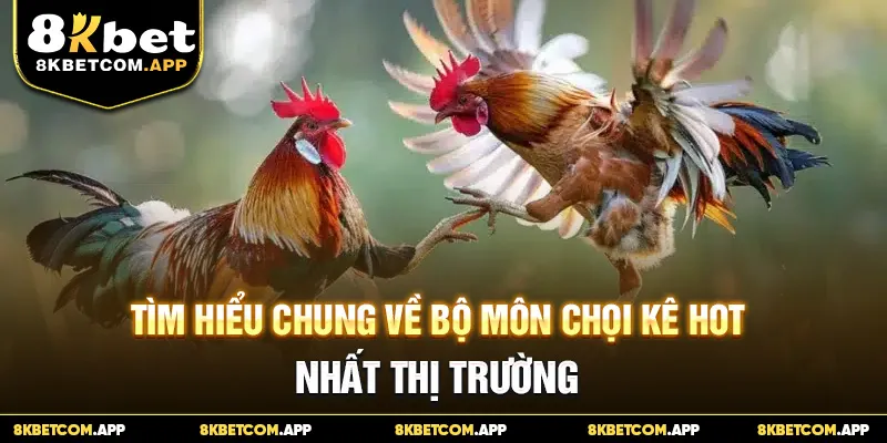 Tìm hiểu chung về bộ môn đá gà cựa dao hot nhất thị trường