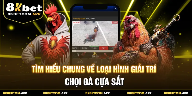 Tìm hiểu chung về loại hình giải trí chọi gà cựa sắt