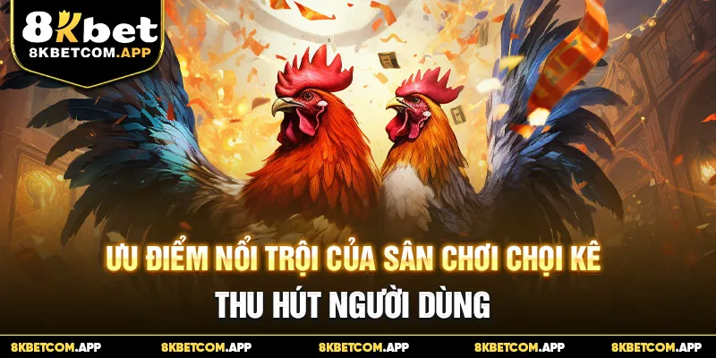 Ưu điểm nổi trội của sân chơi chọi kê thu hút người dùng